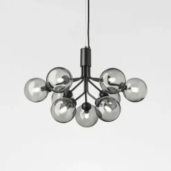 Apiales 9 Kroonluchter