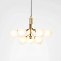 Apiales 9 Kroonluchter