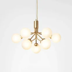 Apiales 9 Kroonluchter