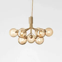 Apiales 9 Kroonluchter