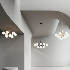 Apiales 9 Kroonluchter