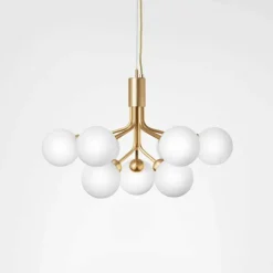 Apiales 9 Kroonluchter