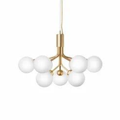 Apiales 9 Kroonluchter