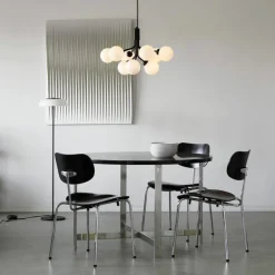 Apiales 9 Kroonluchter