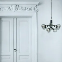 Apiales 9 Kroonluchter