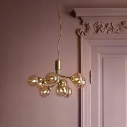 Apiales 9 Kroonluchter