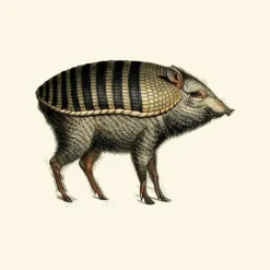 Armoured Boar Behang