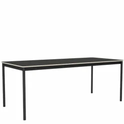 Base Linoleum/Multiplex Eettafel