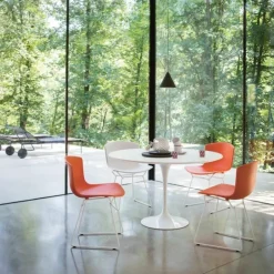 Bertoia Plastic Side Chair
