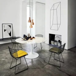 Bertoia Side Chair