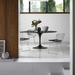 Bertoia Side Chair