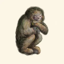 Blushing Sloth Behang Smoke