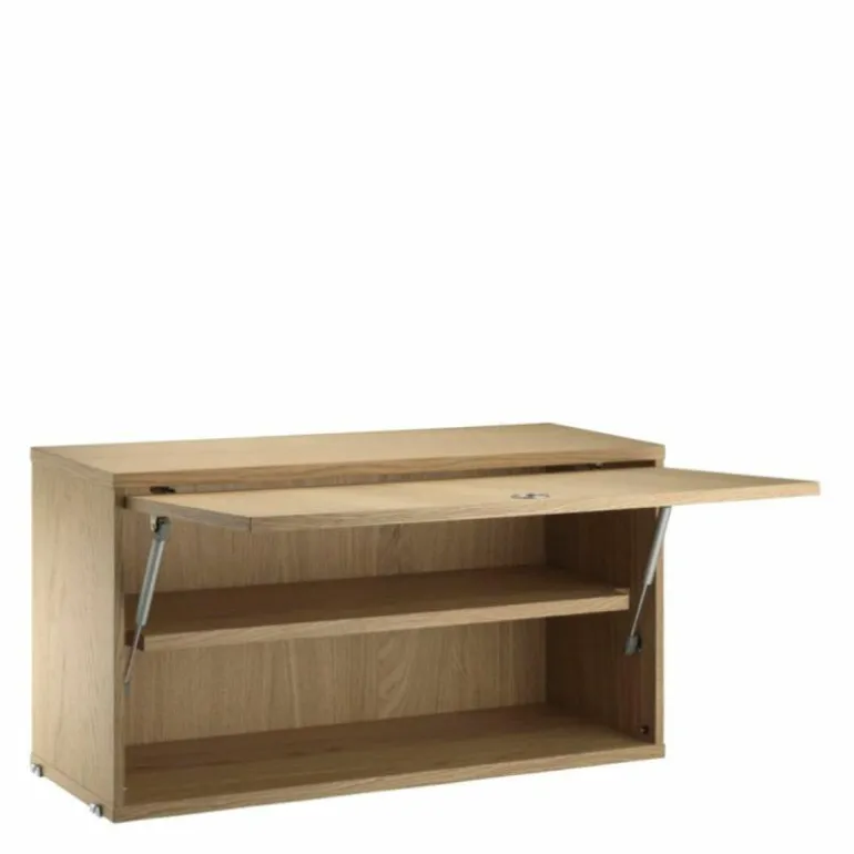 Cabinet with Flip Door