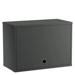 Cabinet with Flip Door