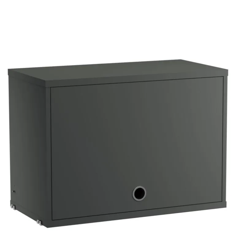 Cabinet with Flip Door