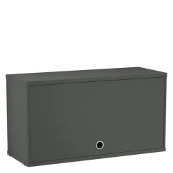 Cabinet with Flip Door
