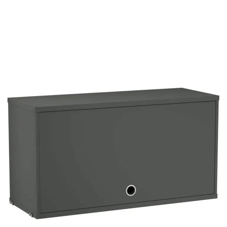 Cabinet with Flip Door
