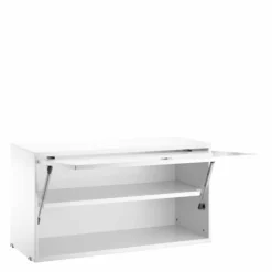 Cabinet with Flip Door