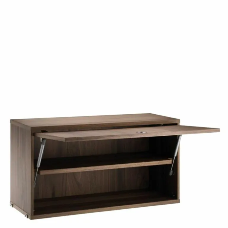 Cabinet with Flip Door