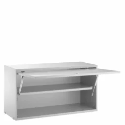 Cabinet with Flip Door