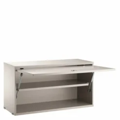 Cabinet with Flip Door