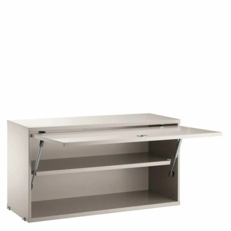 Cabinet with Flip Door