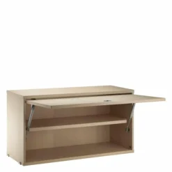 Cabinet with Flip Door