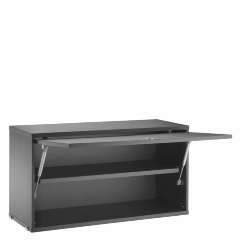 Cabinet with Flip Door