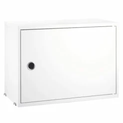 Cabinet with Swing Door