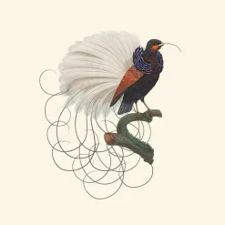 Calligraphy Bird Behang Blossom