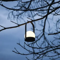 Carrie LED Tafellamp