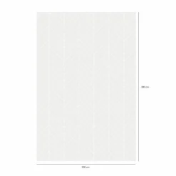 Chasing Light Vloerkleed