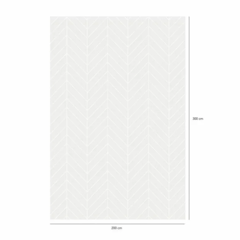 Chasing Light Vloerkleed