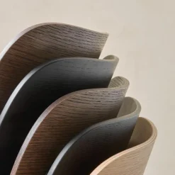 Co Stoel Met Armleuning