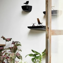 Corniches Wandplanken