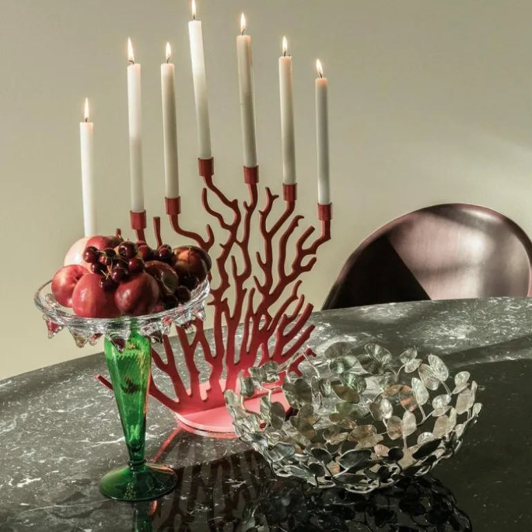 Didymos Eettafel Ovaal