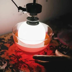 Dipping Light Tafellamp Medium