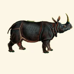 Dwarf Rhino Behang Sage