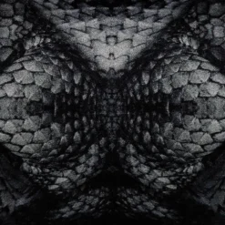 Dwarf Rhino Vloerkleed