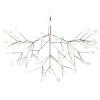 Heracleum III Hanglamp