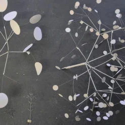 Heracleum III Hanglamp