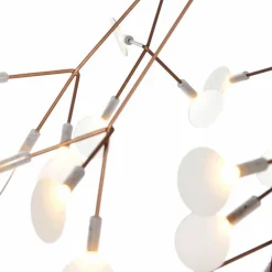 Heracleum III Hanglamp