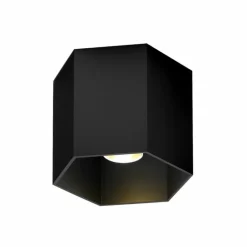 Hexo 1.0 Plafondlamp