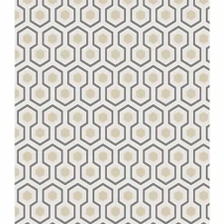 Hicks' Hexagon Behang