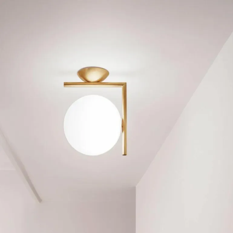 IC Light Wand- en Plafondlamp