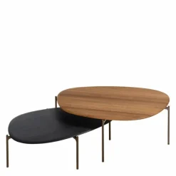 Ishino Wood Salontafel