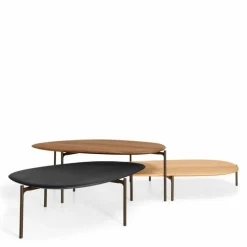 Ishino Wood Salontafel