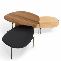 Ishino Wood Salontafel