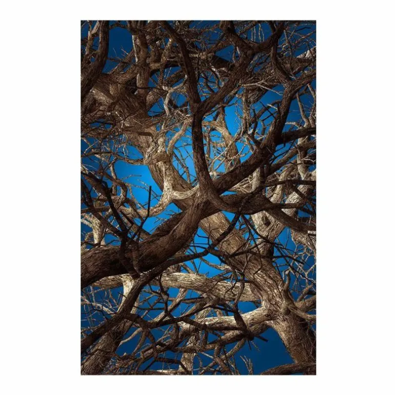 Liquid Maple Vloerkleed