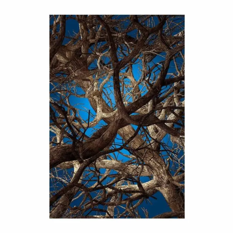 Liquid Maple Vloerkleed